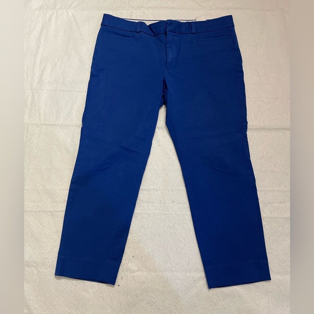 Banana Republic Sloan Crop pants - Size 8P / 8 Petite
